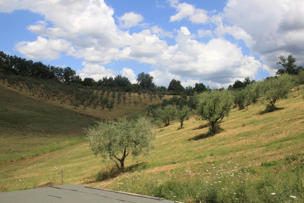 Agriturismo Le Buche di Viesca Villa Reggello Esterno foto